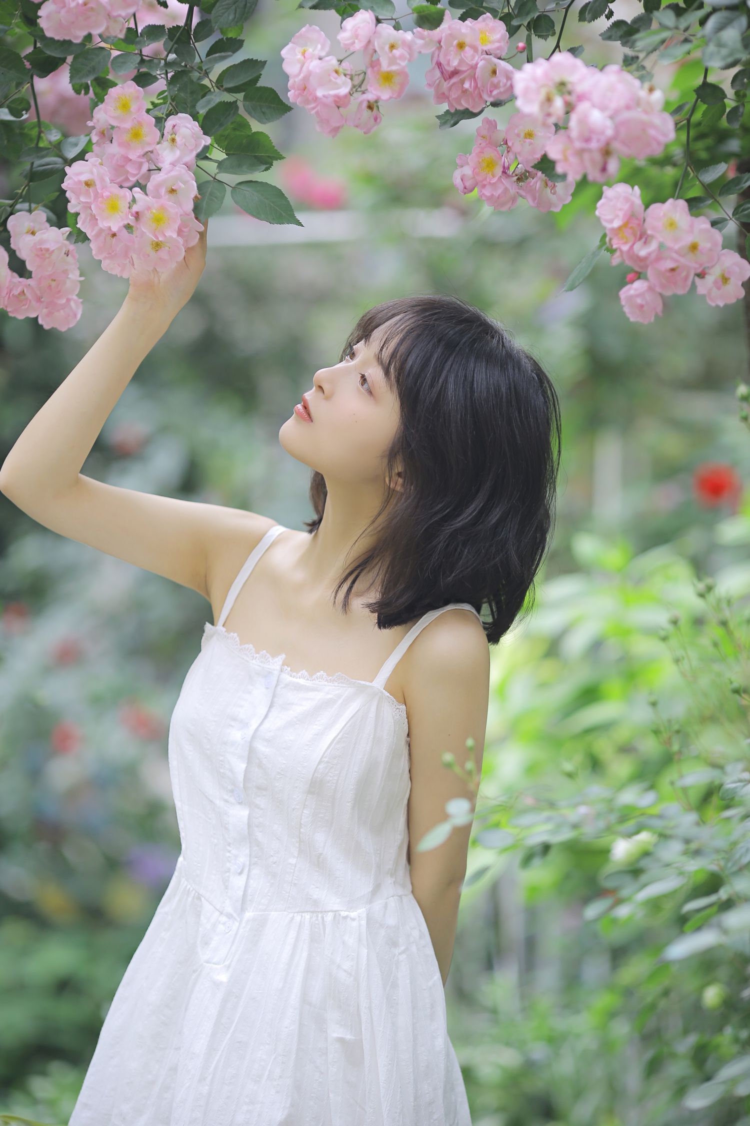 图片[3]-花期已致 美好如初-COS世界