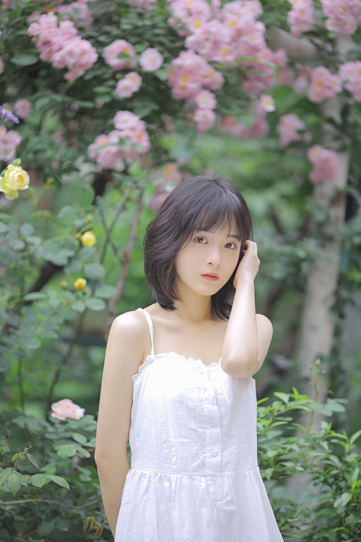 图片[5]-花期已致 美好如初-COS世界