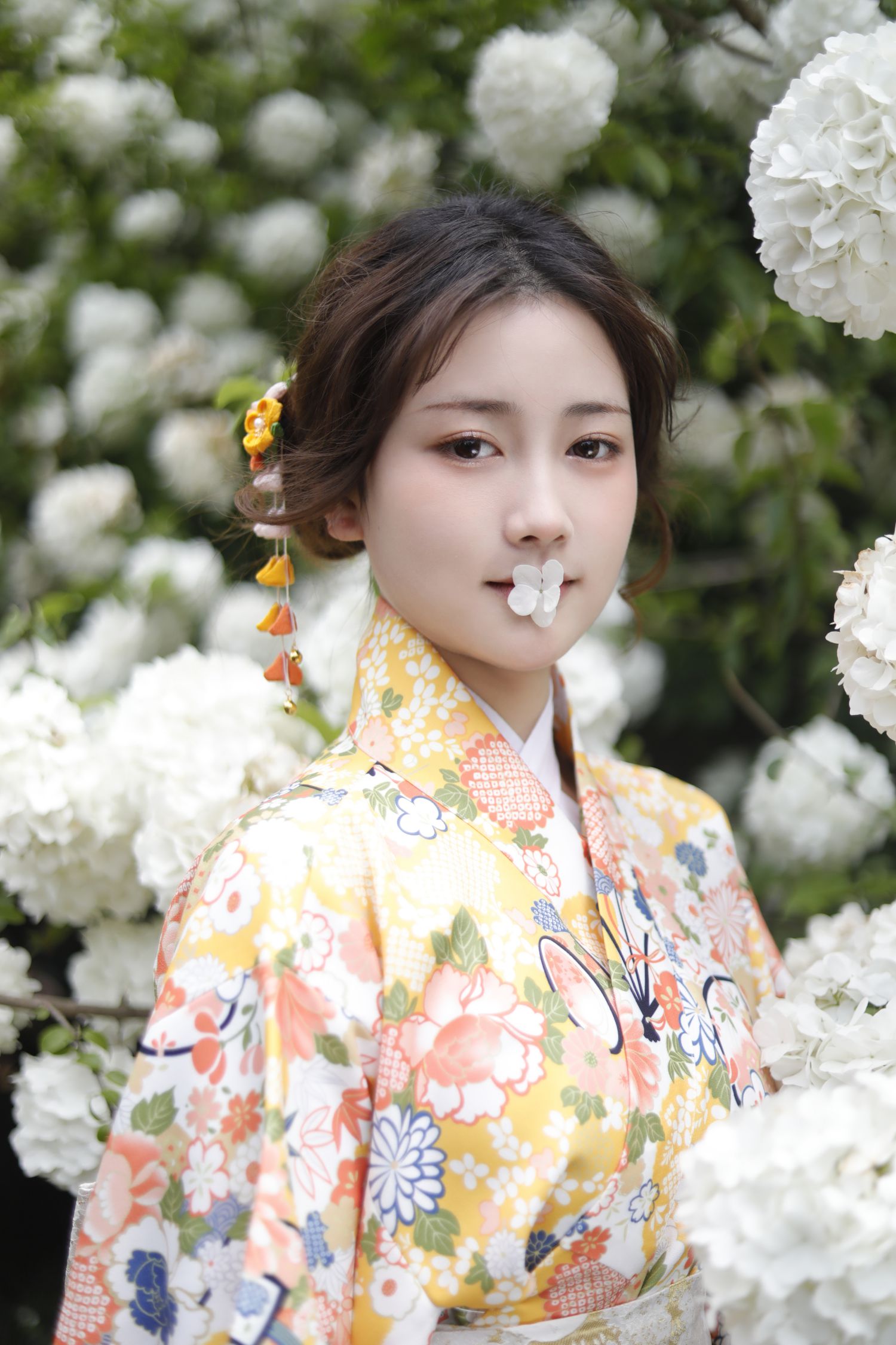 图片[4]-绣球花少女-COS世界