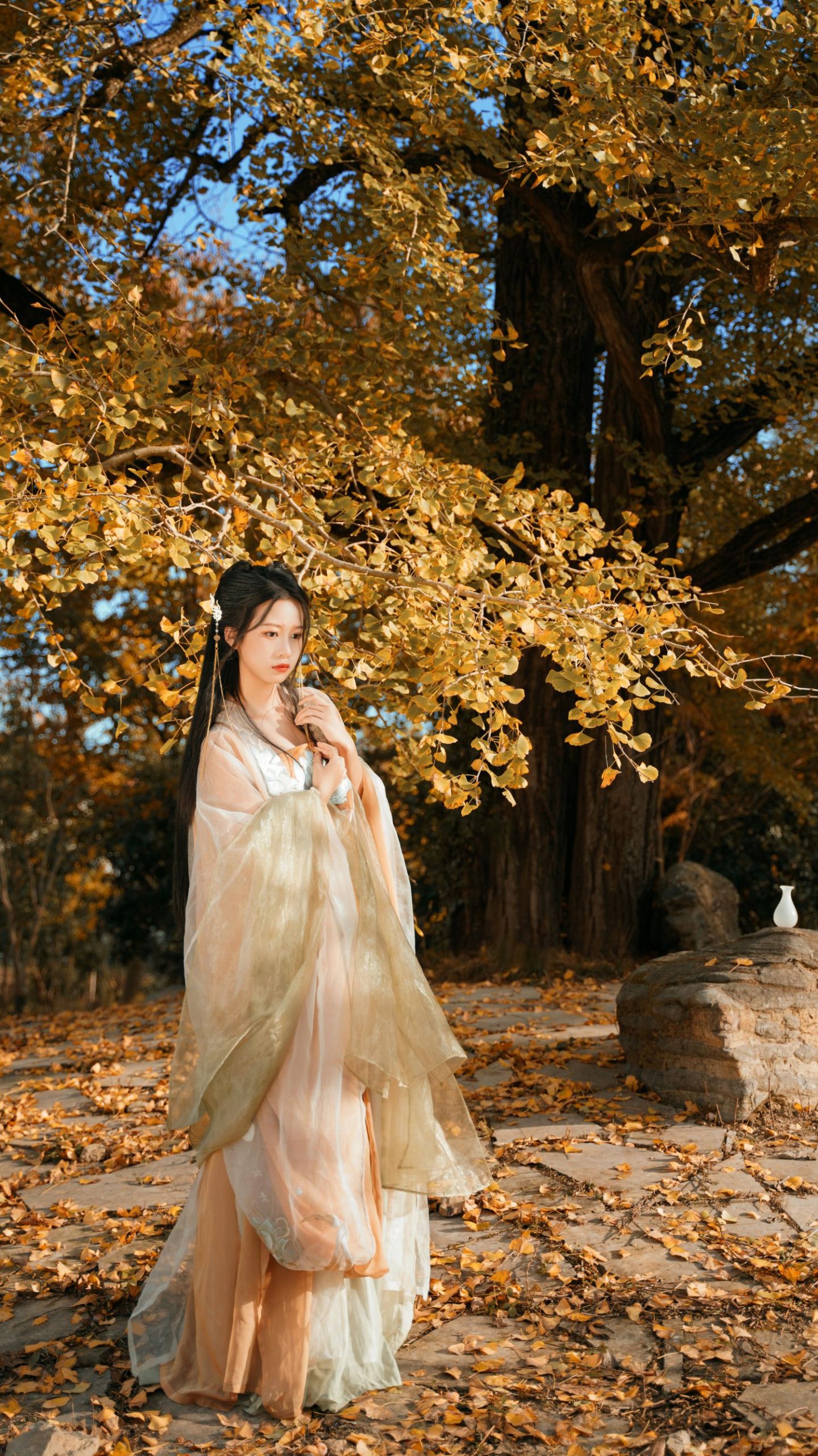 图片[20]-银杏树下 旺旺小小舒-COS世界