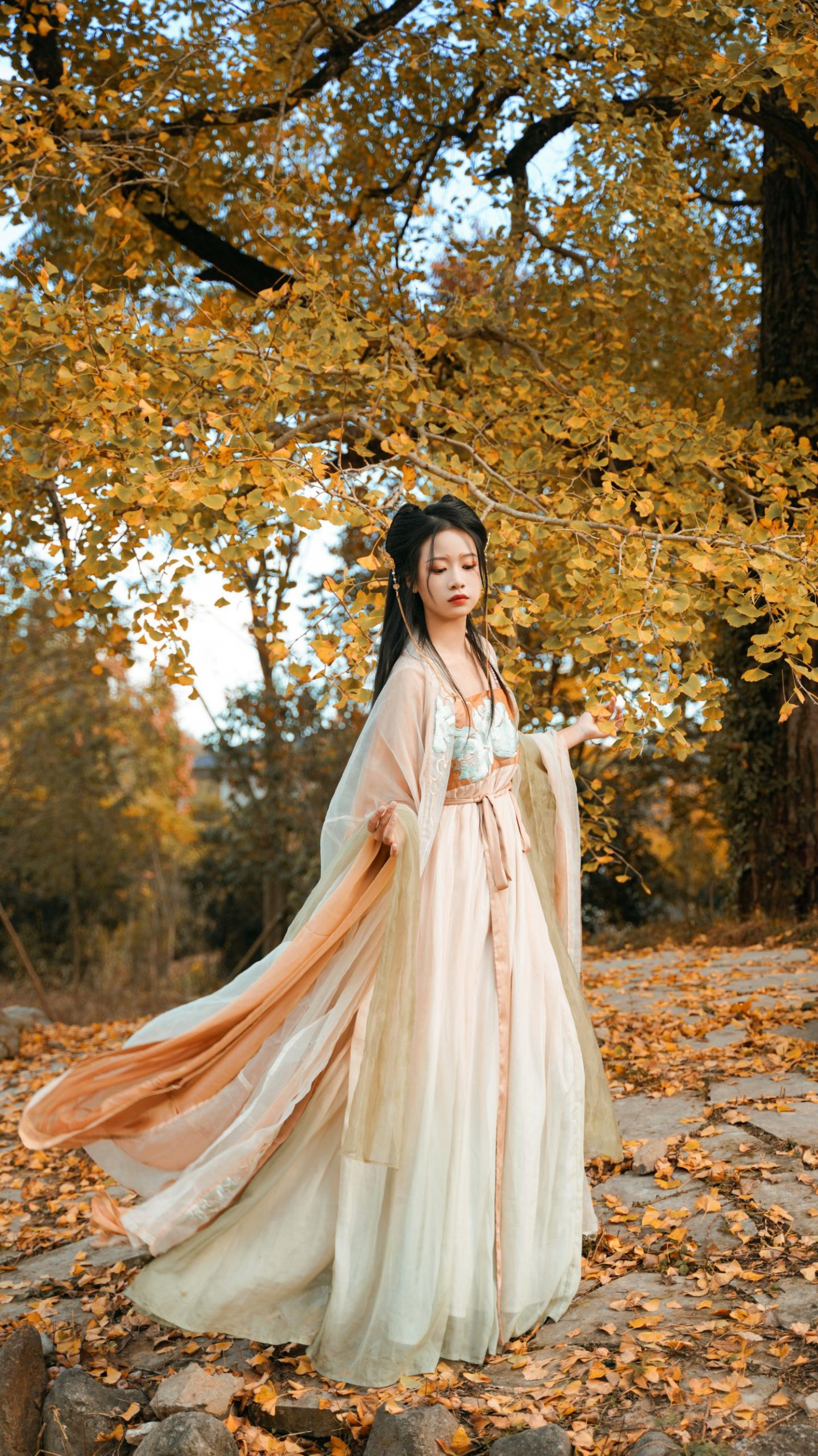 图片[19]-银杏树下 旺旺小小舒-COS世界