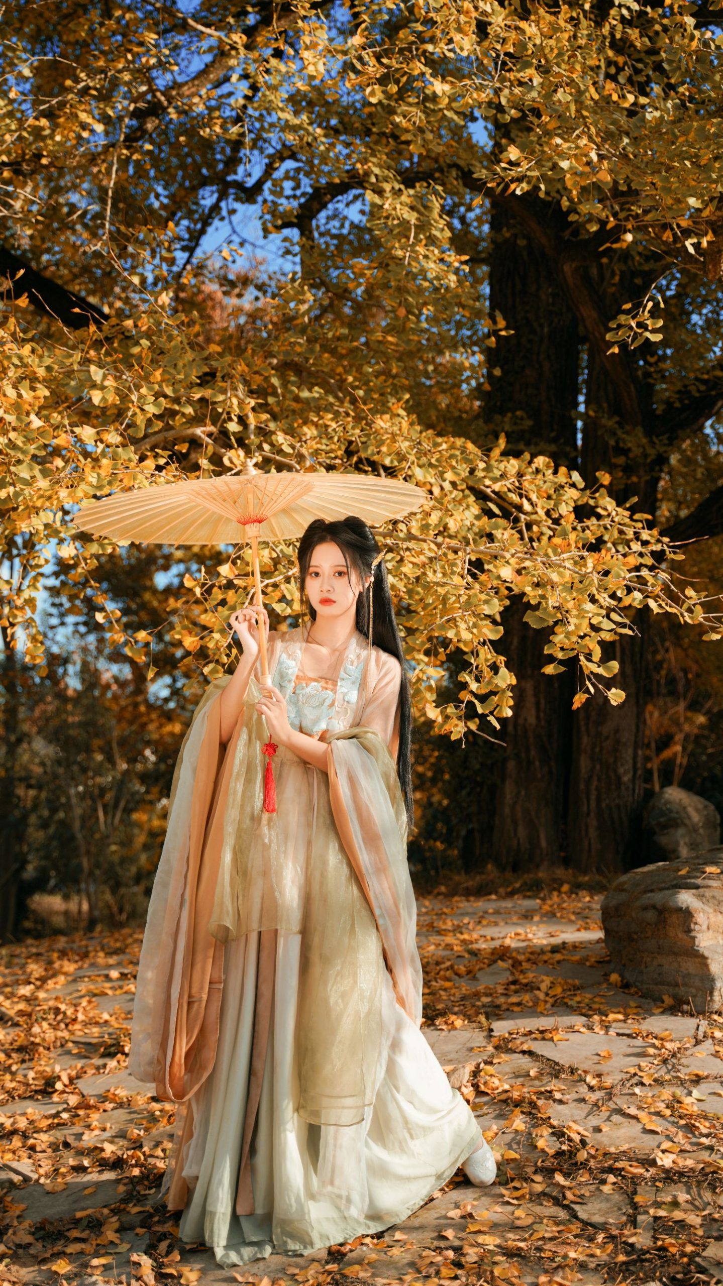 图片[22]-银杏树下 旺旺小小舒-COS世界