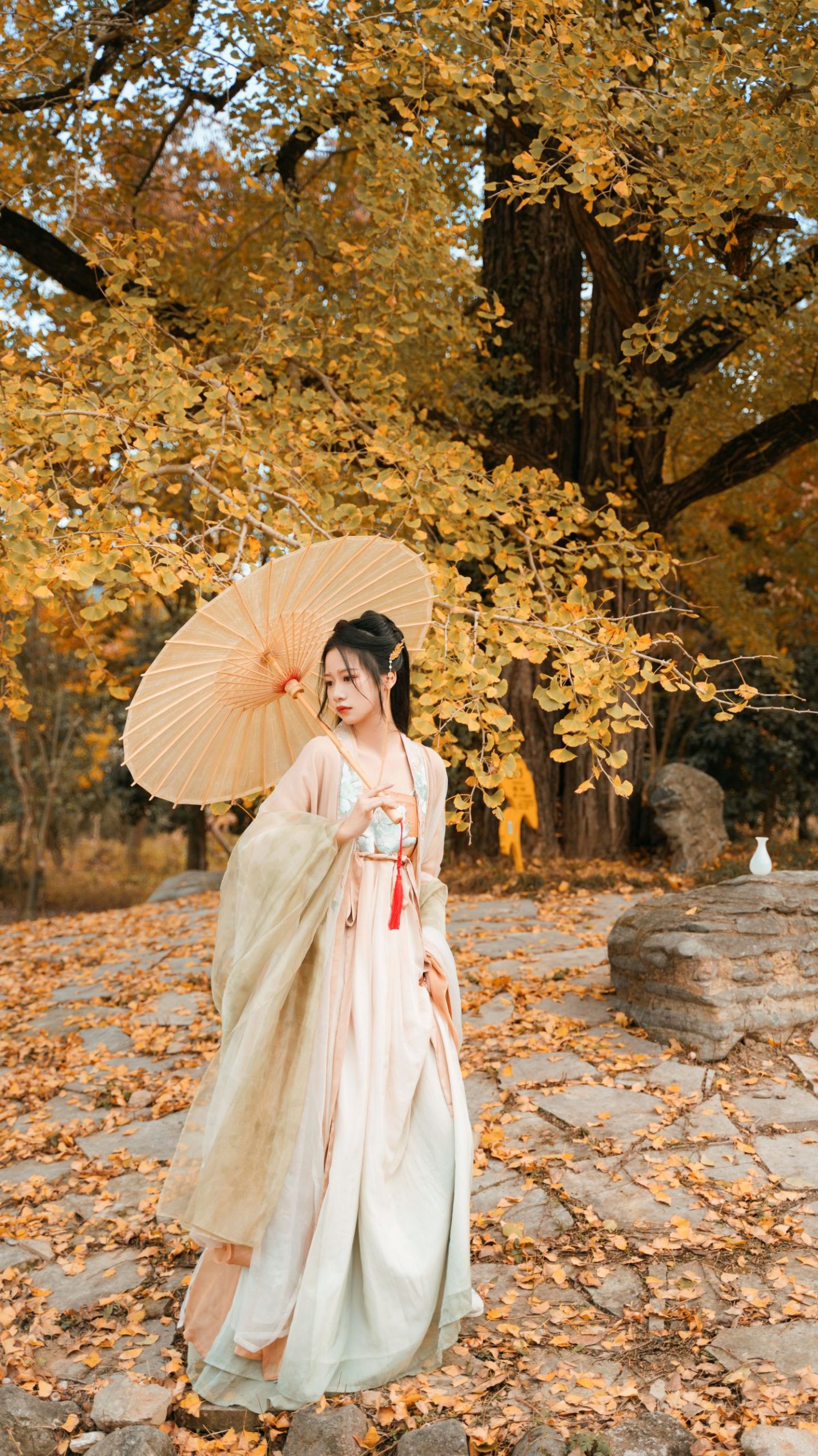 图片[23]-银杏树下 旺旺小小舒-COS世界