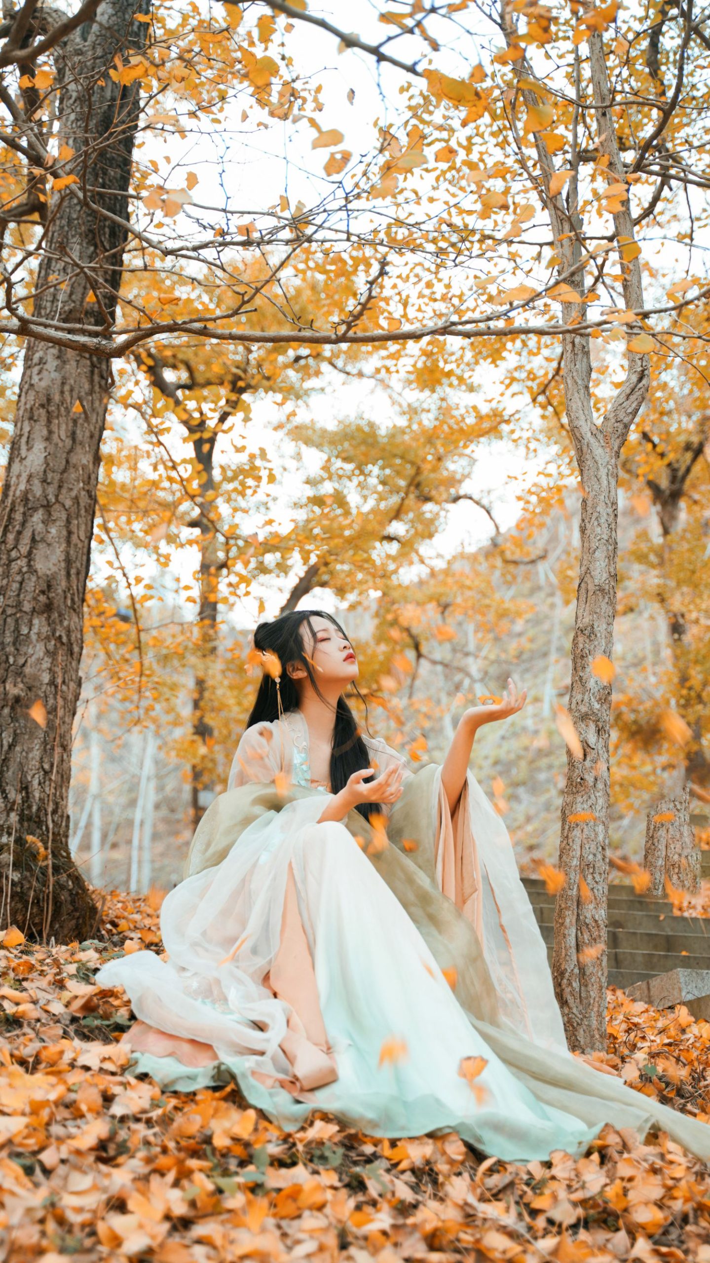 图片[35]-银杏树下 旺旺小小舒-COS世界