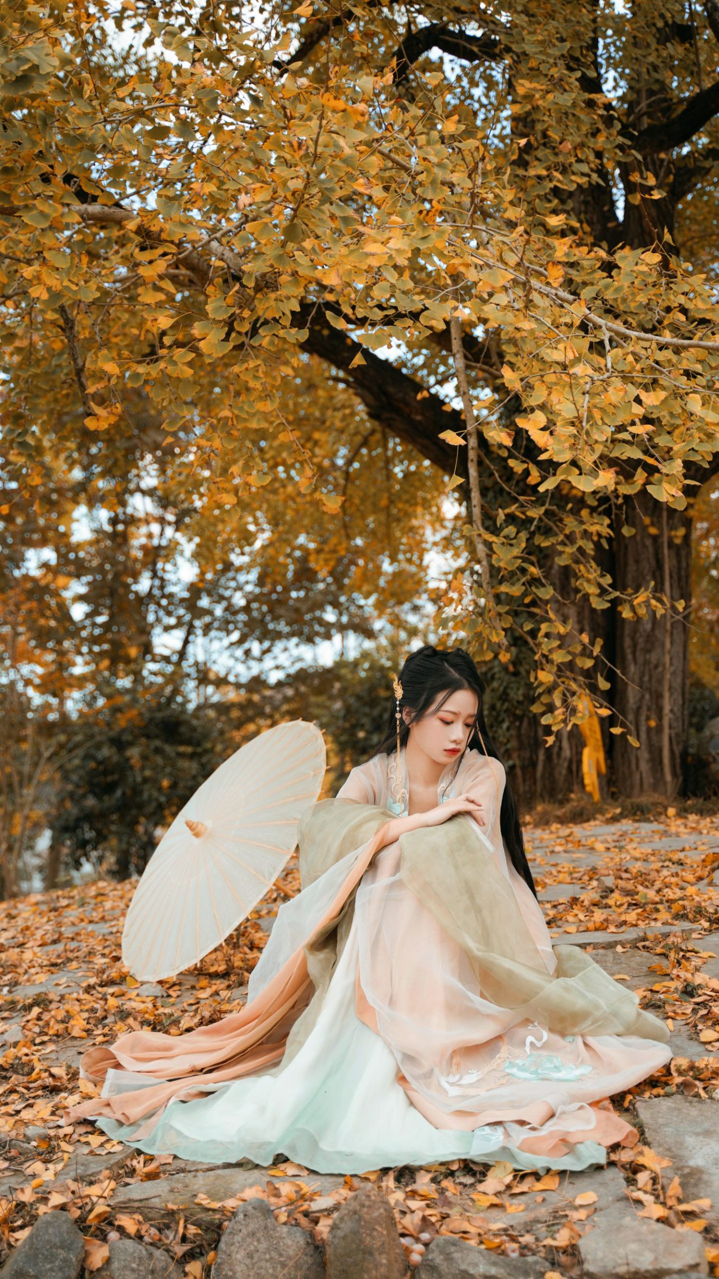 图片[24]-银杏树下 旺旺小小舒-COS世界