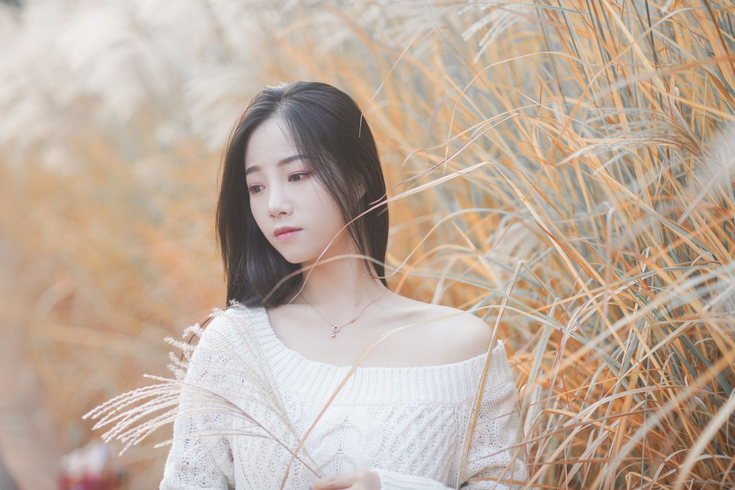 图片[5]-藏在芦苇荡中的温柔-COS世界