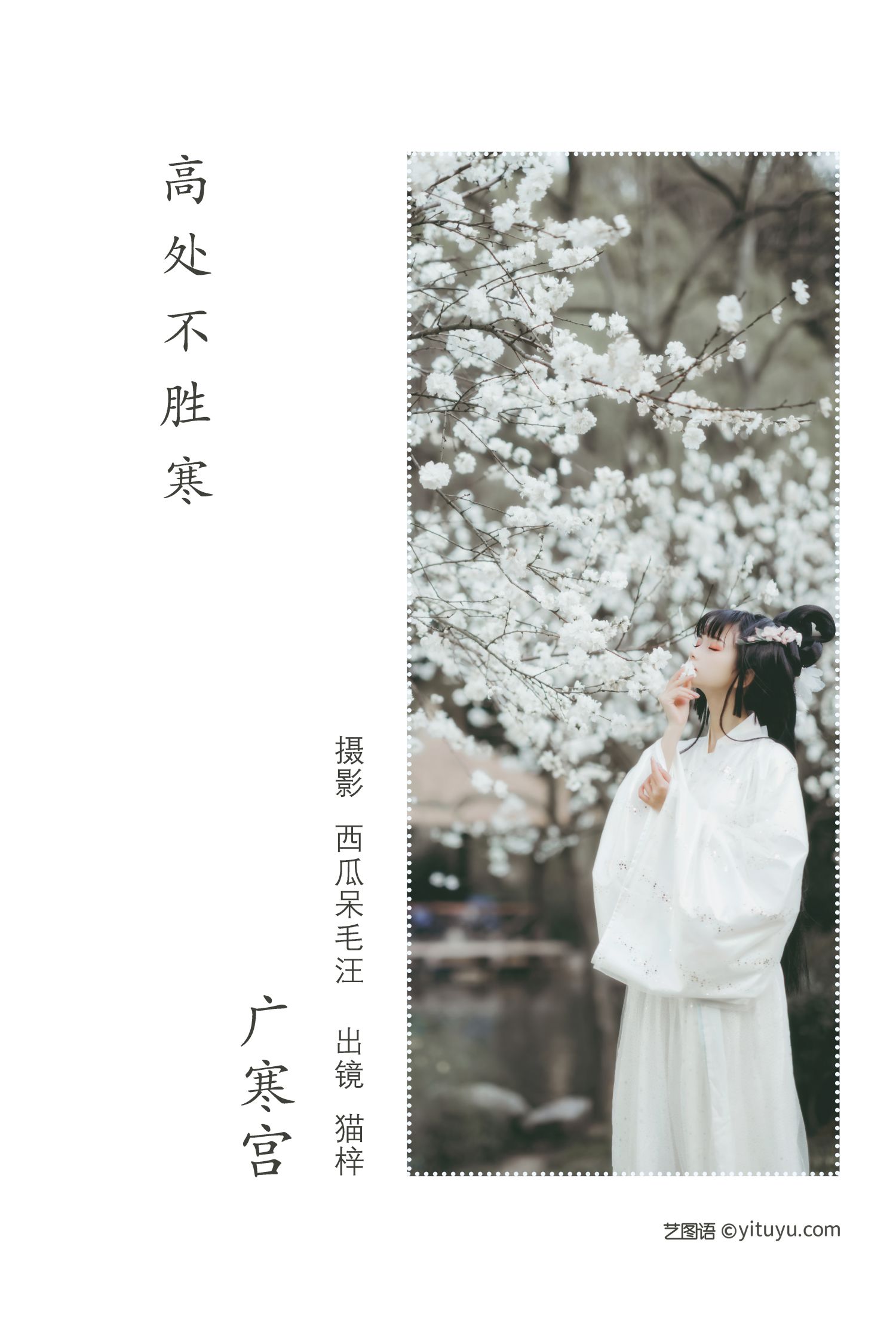 图片[2]-广寒宫 猫梓子-COS世界