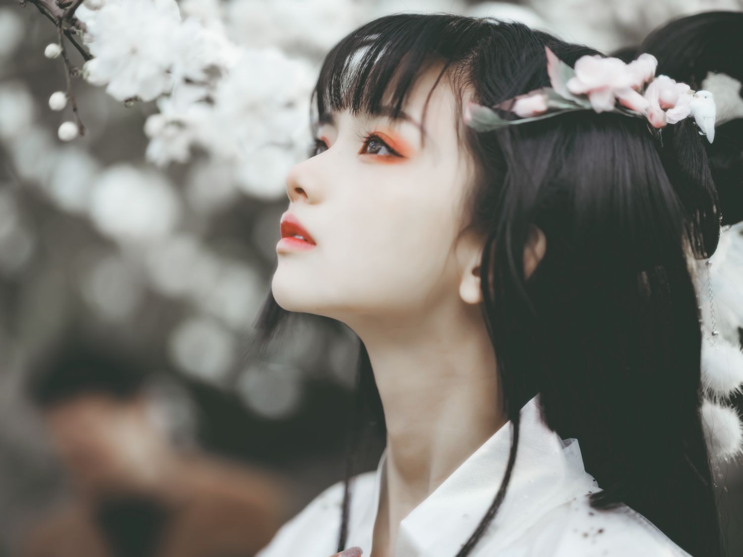 图片[4]-广寒宫 猫梓子-COS世界