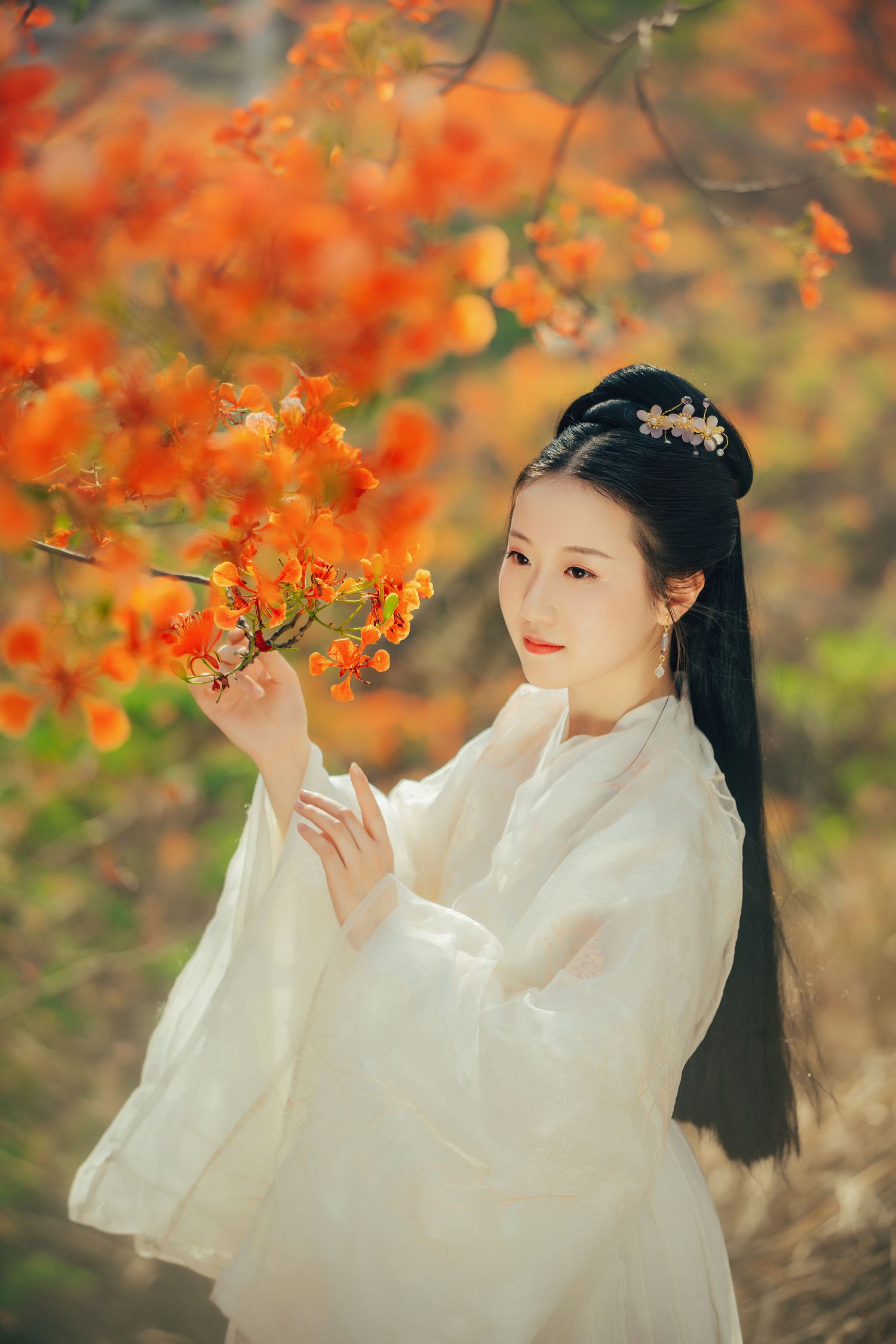 图片[3]-凤凰花开 粥米饭-COS世界