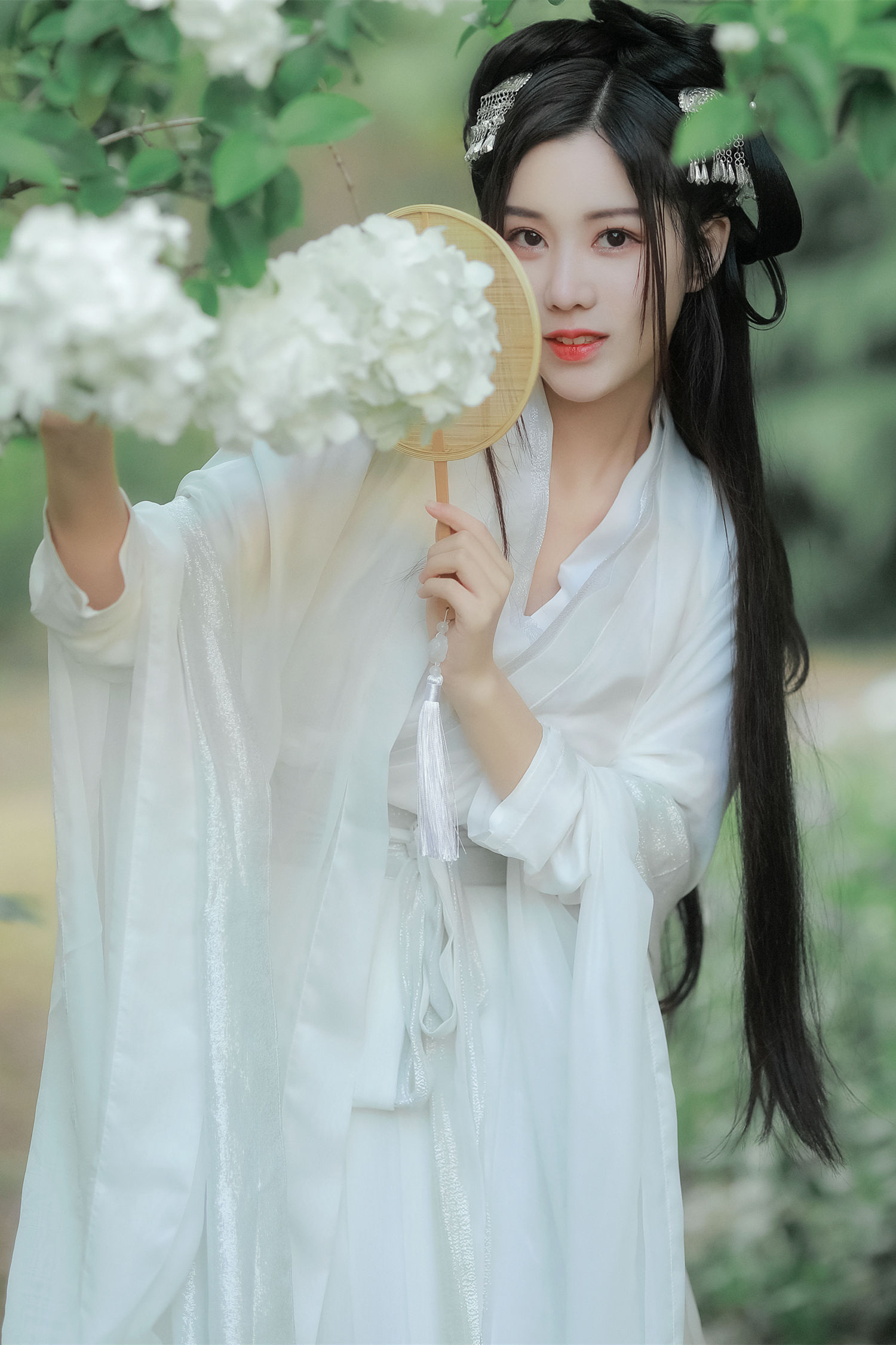 紫荆花开-COS世界