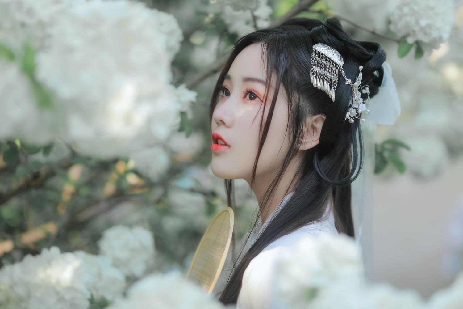 图片[4]-紫荆花开-COS世界