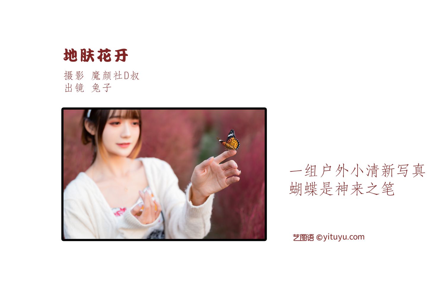 图片[2]-地肤花开-COS世界