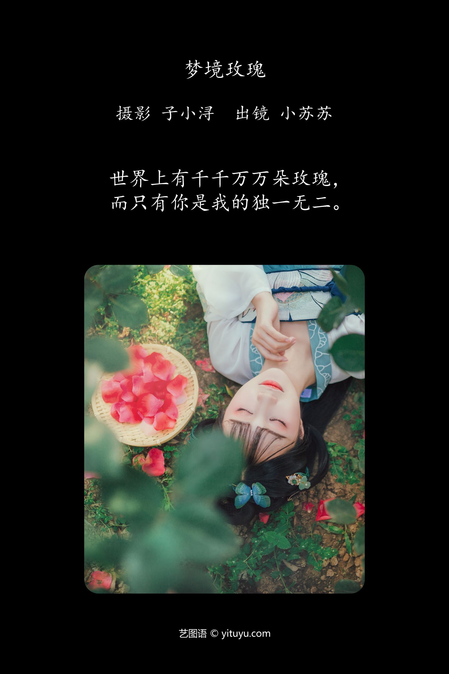 图片[2]-梦境玫瑰-COS世界