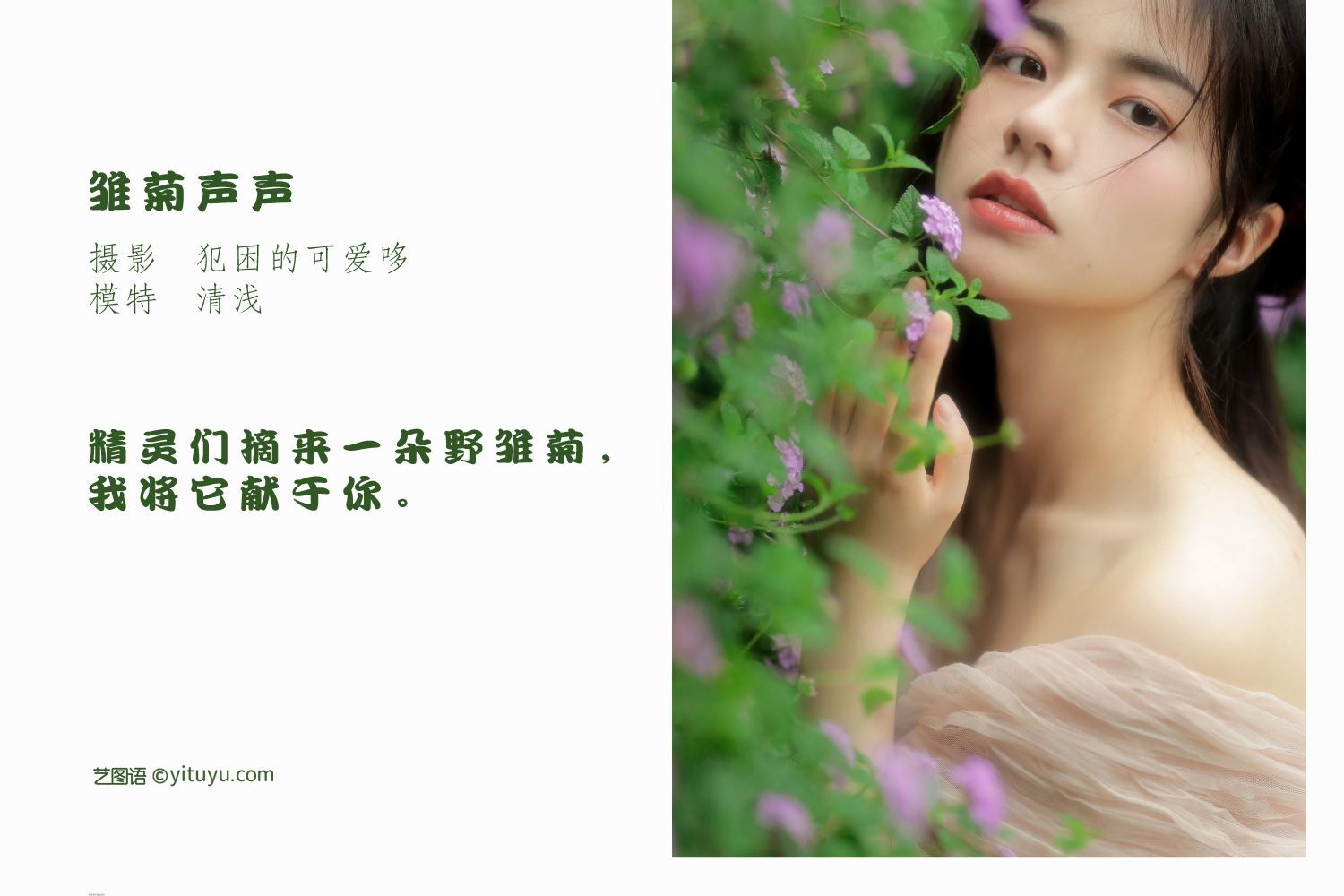 图片[2]-雏菊声声-COS世界