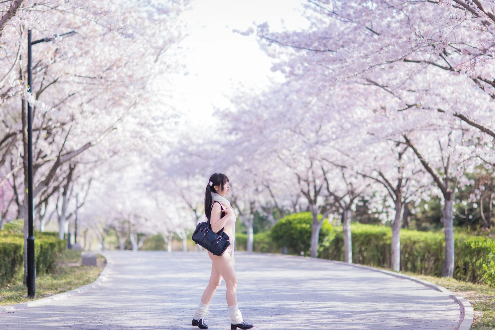 图片[13]-双马尾樱花妹-COS世界
