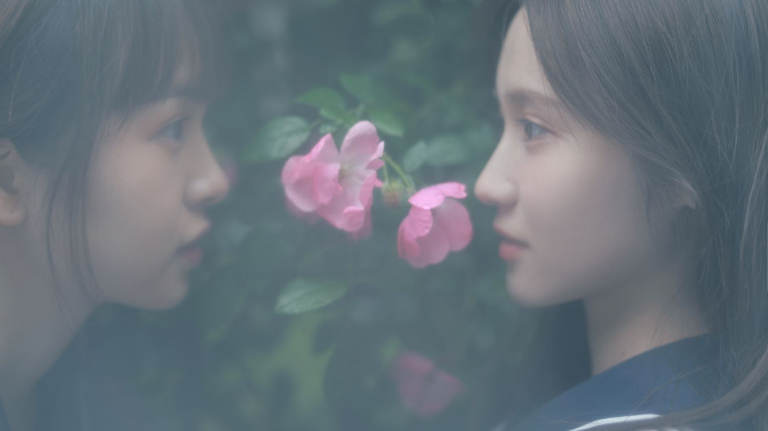图片[5]-花与爱丽丝-COS世界