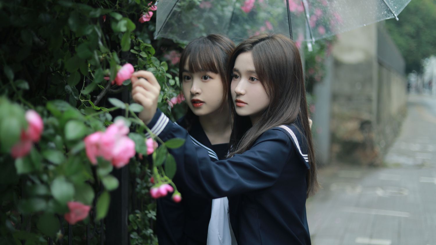 图片[3]-花与爱丽丝-COS世界