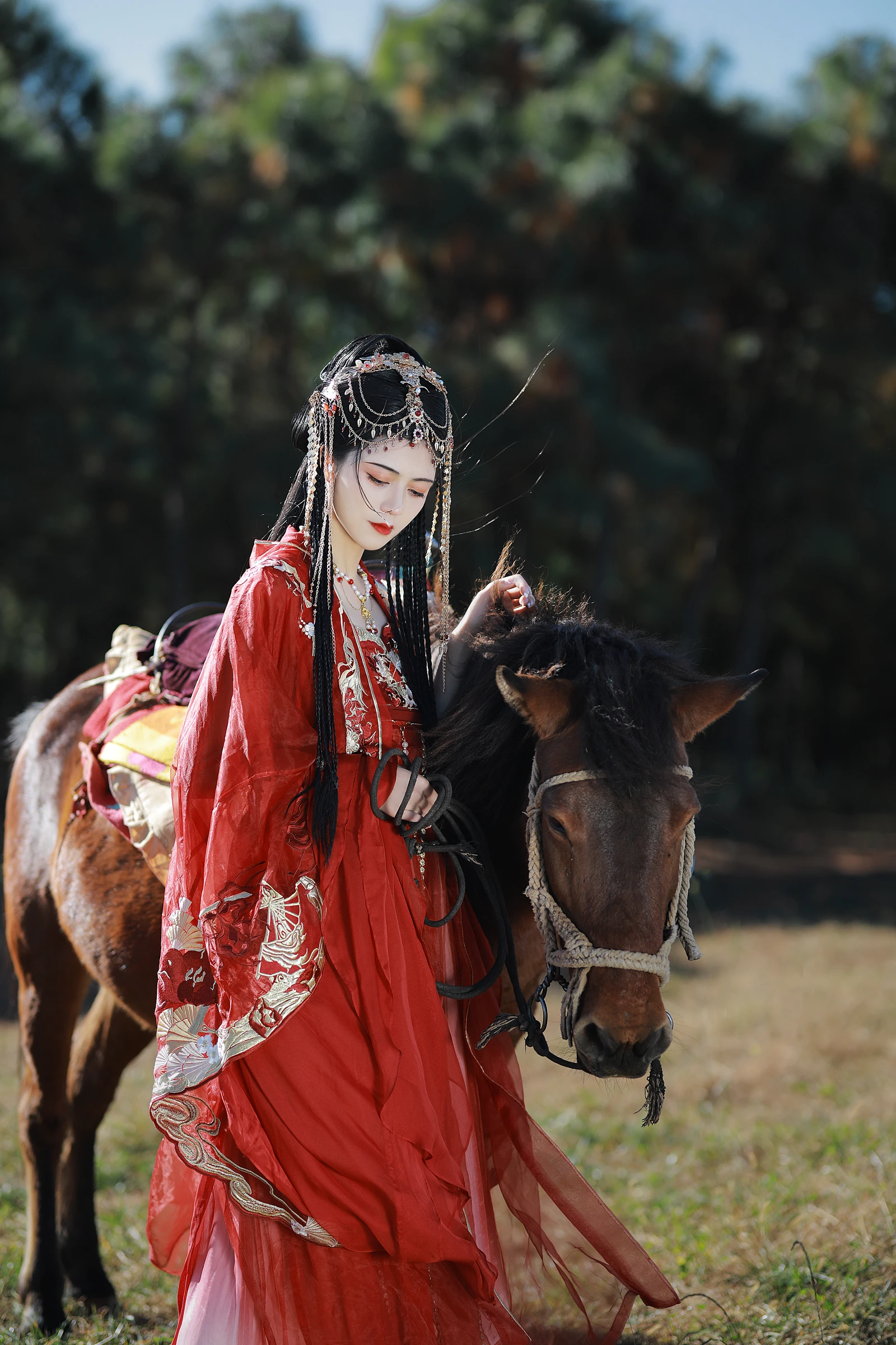 图片[5]-落日余晖映彩霞-COS世界