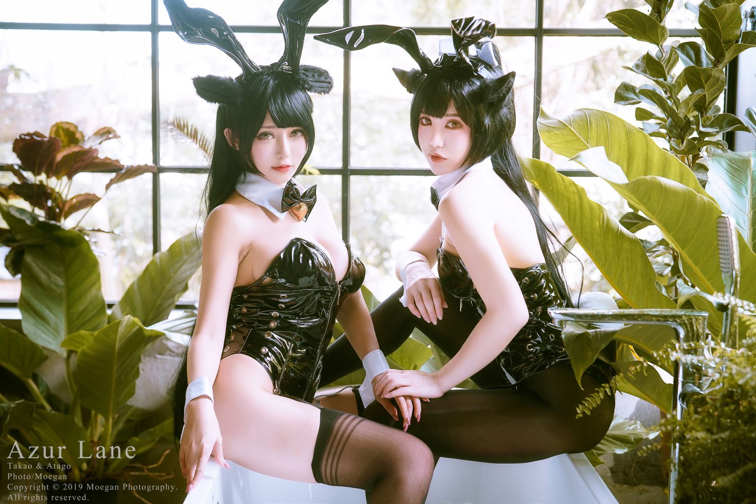图片[3]-瑞鳳と大鳳 Bunny-COS世界