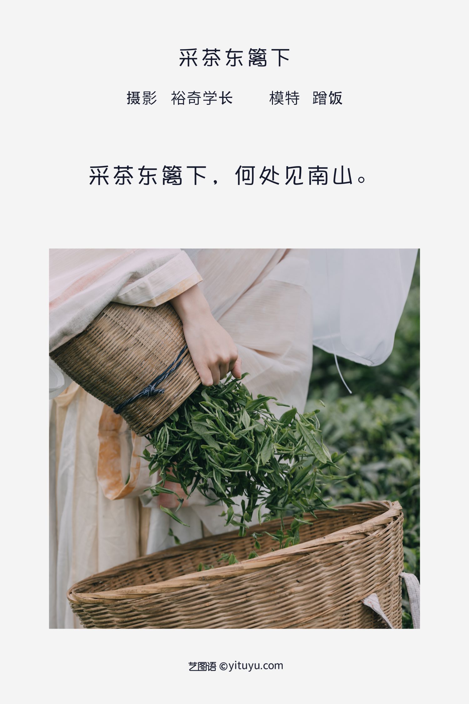 图片[2]-采茶东篱下 蹭饭-COS世界