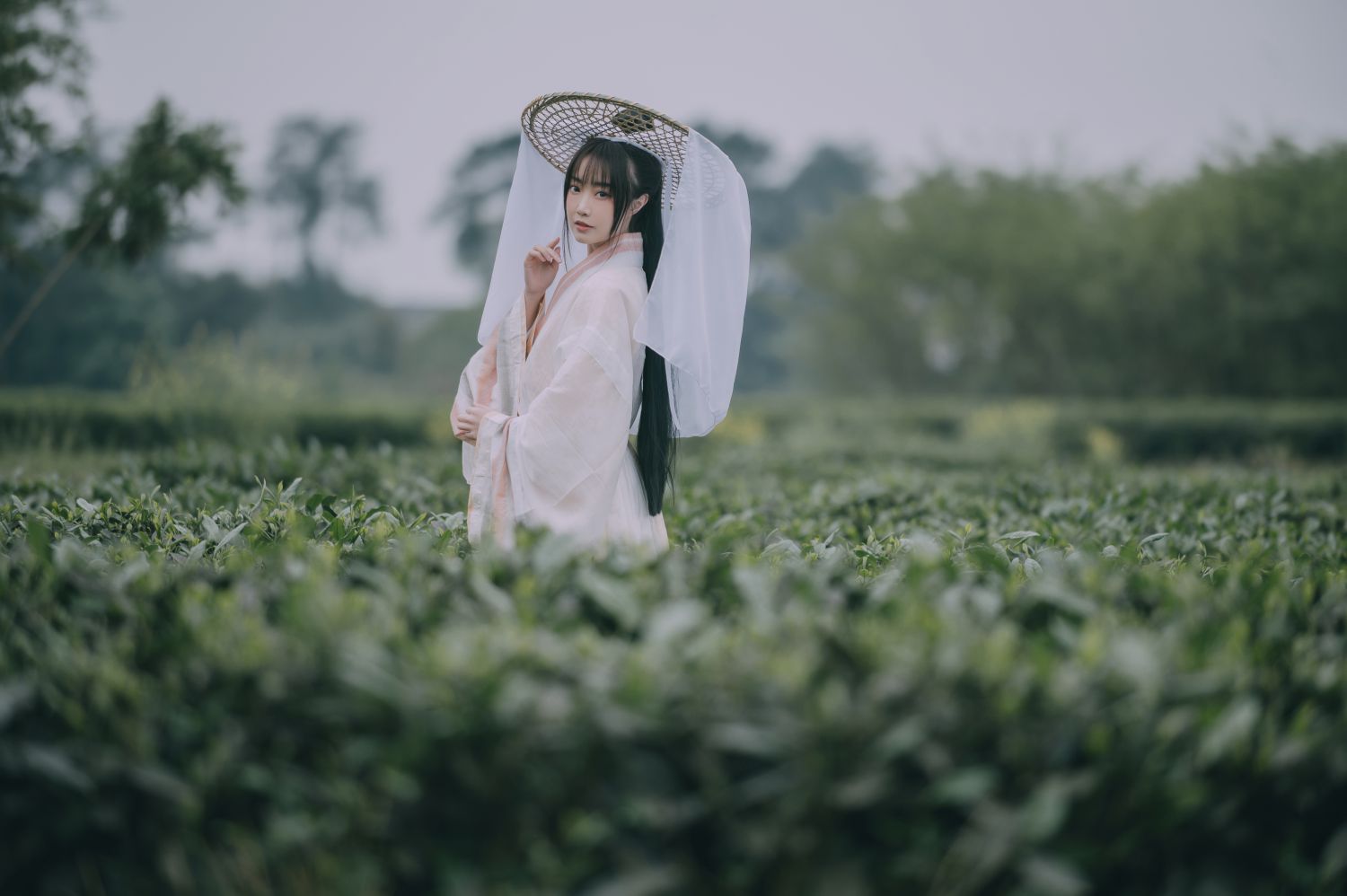 图片[5]-采茶东篱下 蹭饭-COS世界
