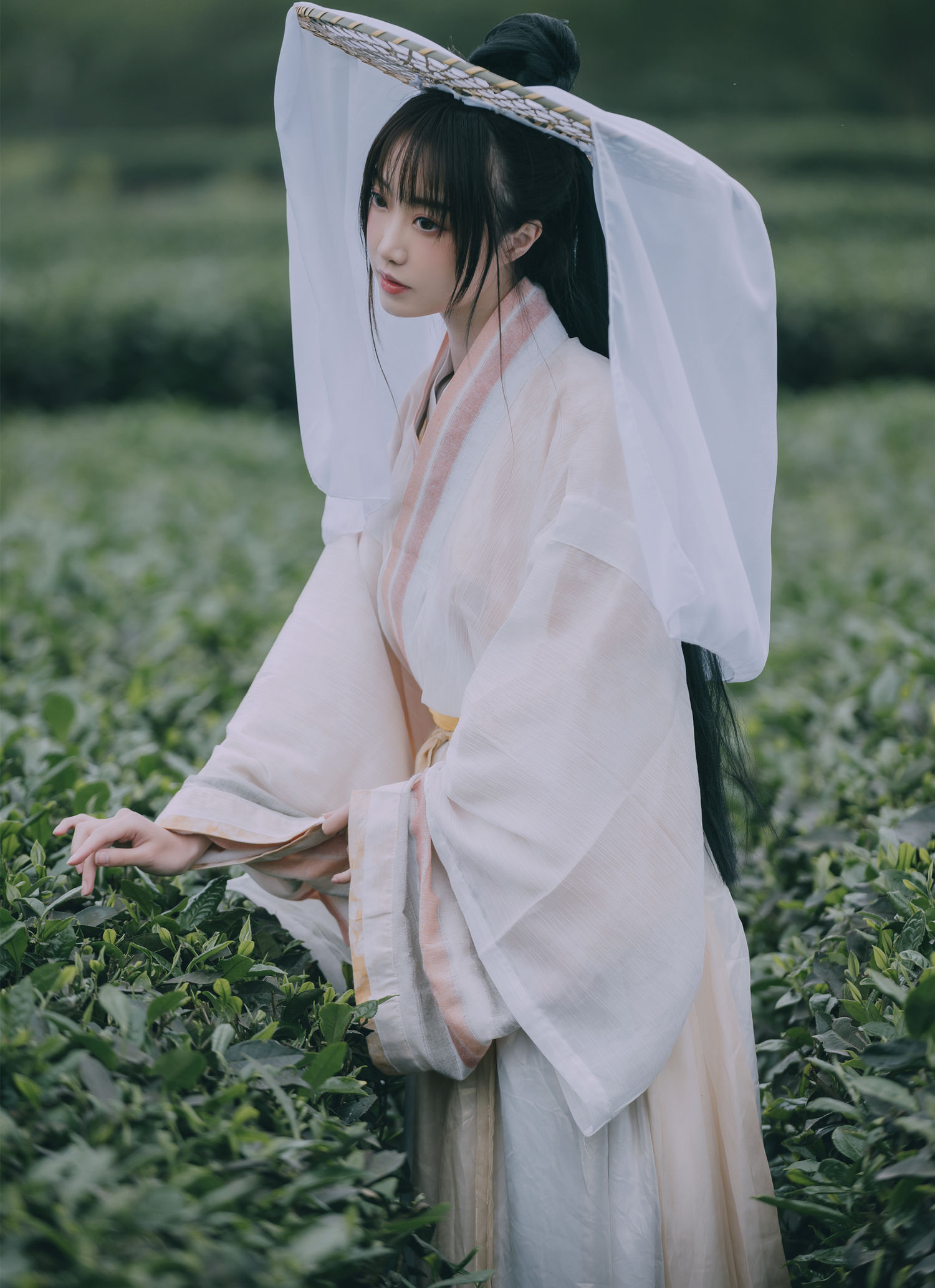 采茶东篱下 蹭饭-COS世界
